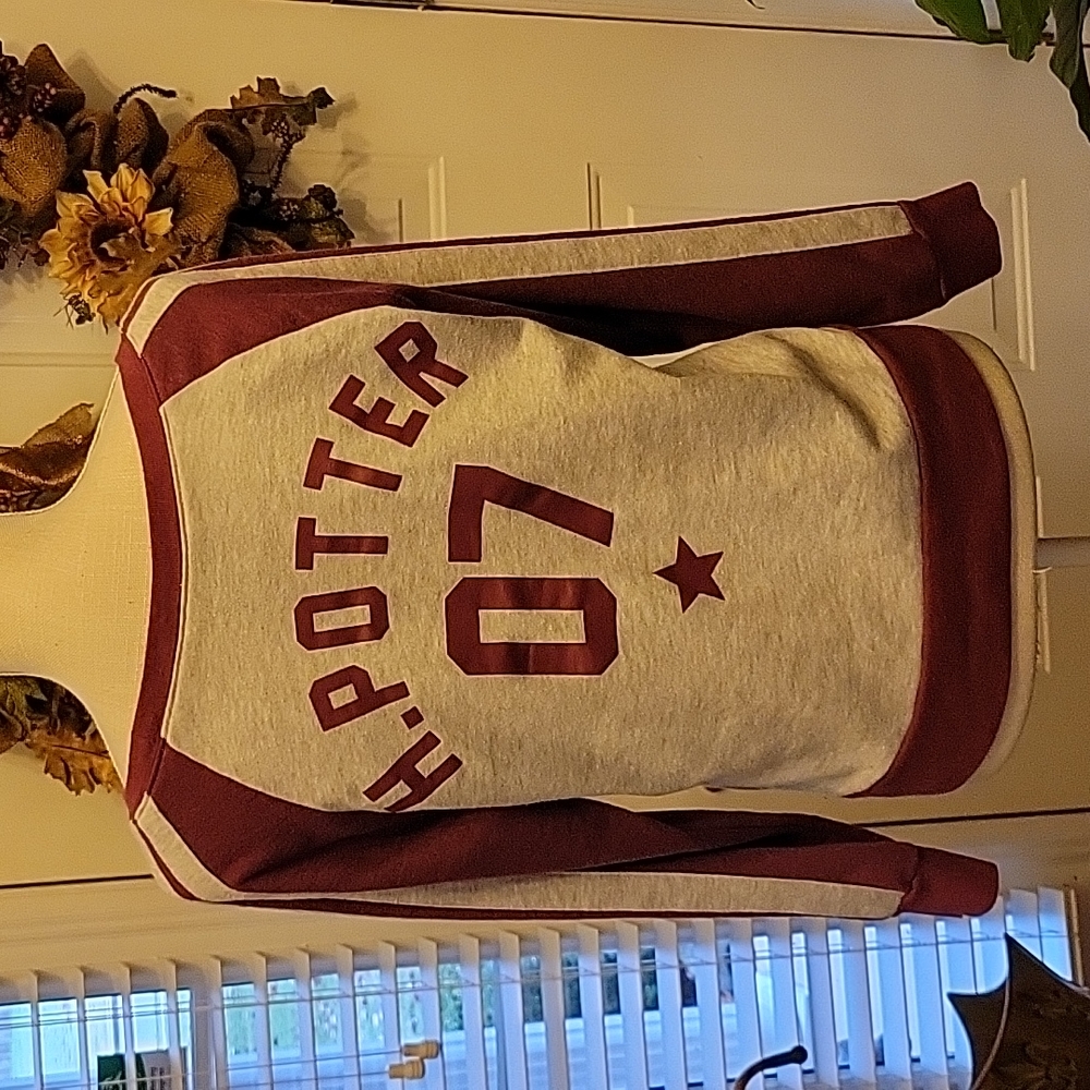 Harry Potter Gryffindor Quidditch jersey 07 Warner Brothers Long sleeve M EUC …